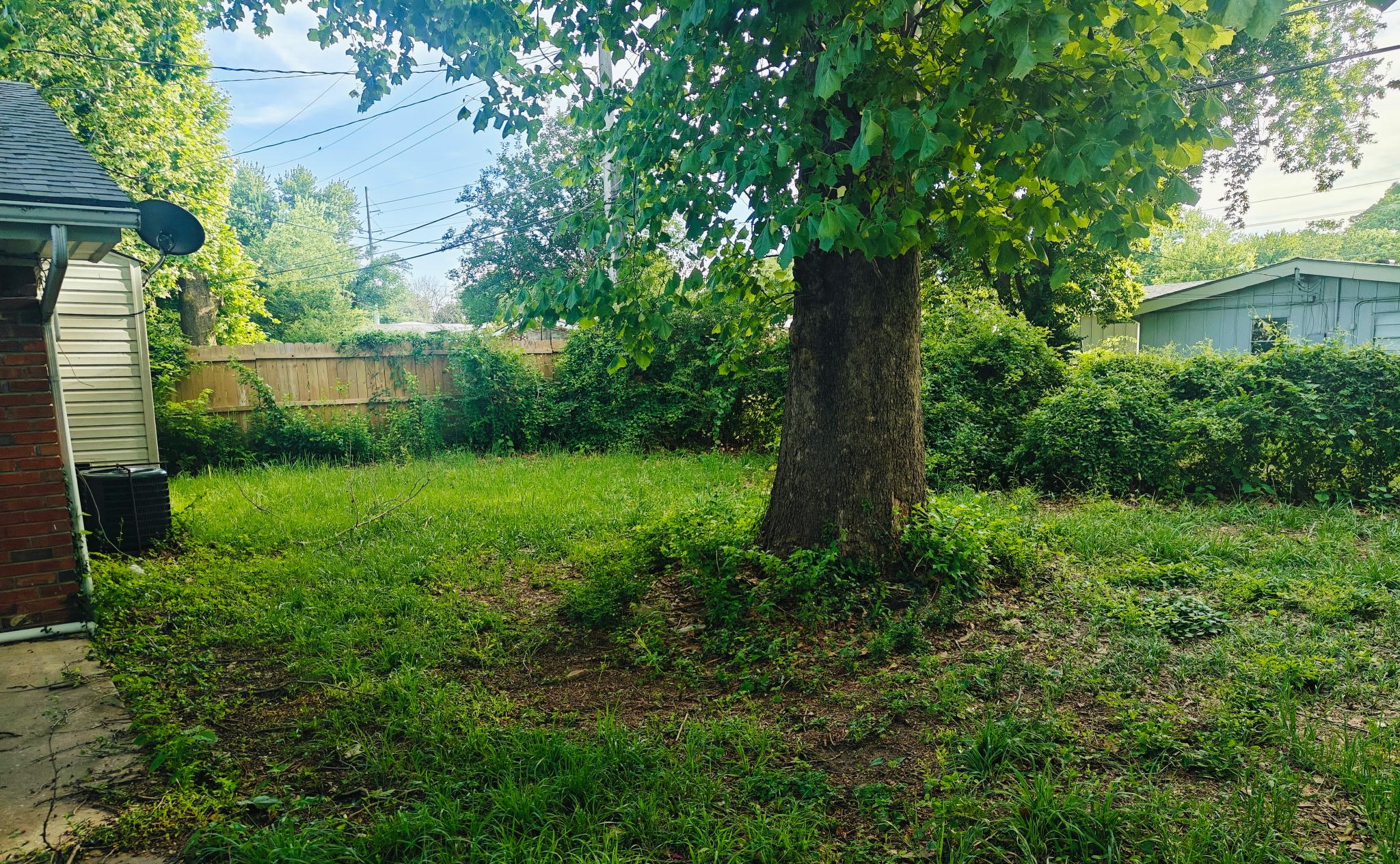 Backyard with large tree and wood fence